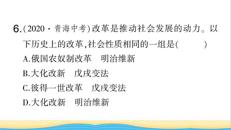 九年级历史下册期末专题复习一资本主义的巩固与发展作业课件新人教版07