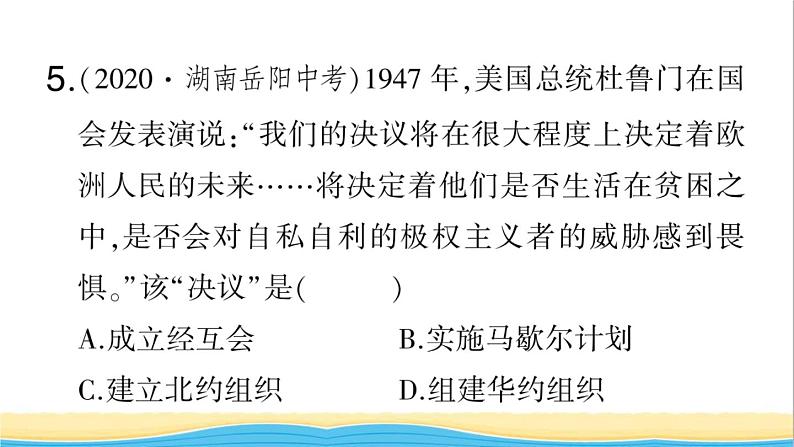 九年级历史下册期末专题复习三近现代世界格局的演变作业课件新人教版06