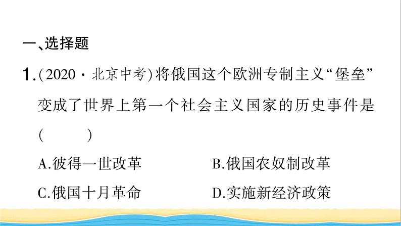 九年级历史下册期末专题复习四社会主义革命与建设作业课件新人教版02