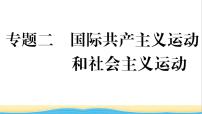 九年级历史下册专题二国际共产主义运动和社会主义运动作业课件新人教版