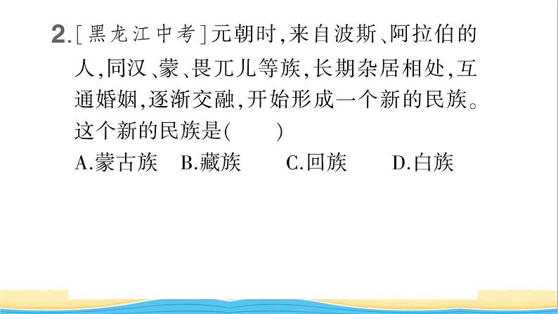 七年级历史下册第二单元辽宋夏金元时期：民族关系发展和社会变化第11课元朝的统治作业课件新人教版2第3页