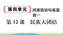 初中历史人教部编版八年级下册第12课 民族大团结作业课件ppt