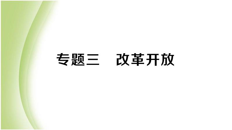 八年级历史下册期末专题复习三改革开放作业课件新人教版第1页