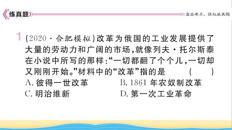 九年级历史下册第一单元殖民地人民的反抗与资本主义制度的扩展小结作业课件新人教版02