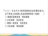 九年级历史下册第一单元殖民地人民的反抗与资本主义制度的扩展小结作业课件新人教版