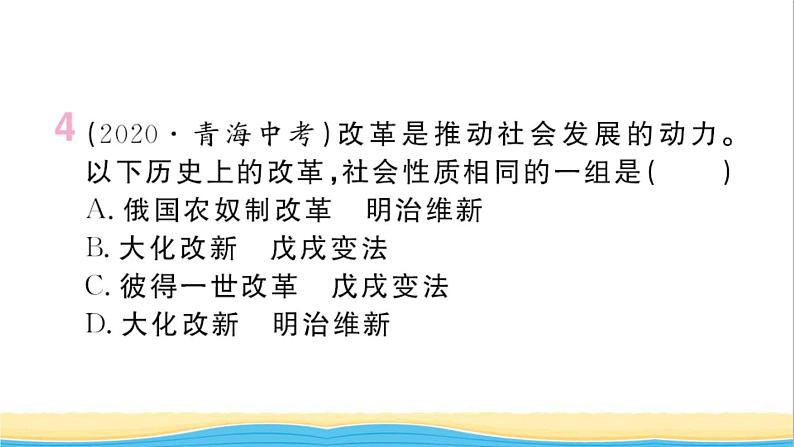 九年级历史下册第一单元殖民地人民的反抗与资本主义制度的扩展小结作业课件新人教版05