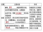 人教版七年级下册历史 期末专题复习 专题一　隋到清专制主义中央集权制度的演变 习题课件