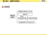 历史中考复习 4. 板块四　世界古代史 3. 第三单元　封建时代的欧洲 PPT课件