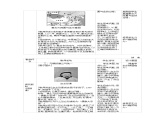 七年级历史下册第二单元辽宋夏金元时期民族关系发展和社会变化第10课蒙古族的兴起与元朝的建立教学设计2新人教版课件PPT