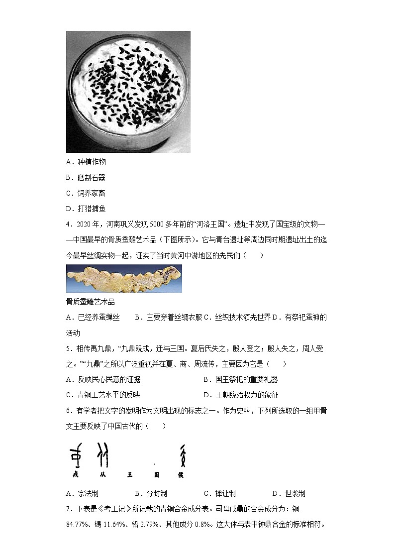 广东省东莞市虎门镇2021-2022学年七年级上学期期末历史试题（word版 含答案）02