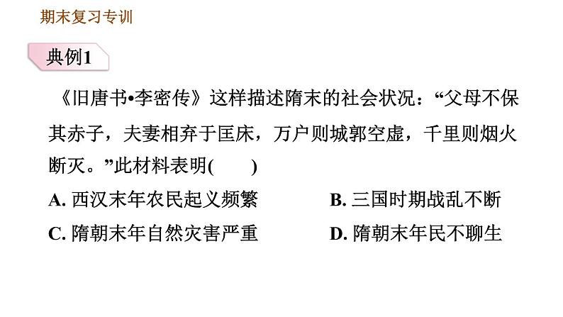 人教版七年级下册历史 期末复习提升之专项训练 习题课件06