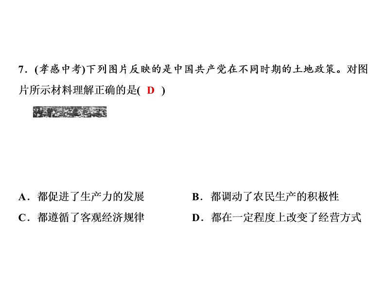 人教版初中历史八下期末综合检测题第8页