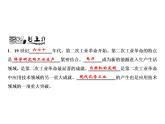第二单元 第二次工业革命和近代科学文化 教学课件 人教版历史九下