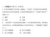 第六单元 资本主义制度的初步确立 教学课件人教版历史九上