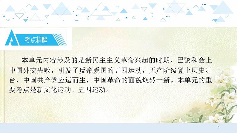 9中国近代史四、新民主主义革命的开始 中考历史总复习课件07