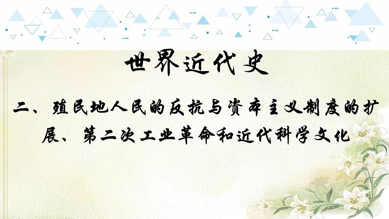 17世界近代史二、殖民地人民的反抗与资本主义制度的扩展、第二次工业革命和近代科学文化 中考历史总复习课件第1页