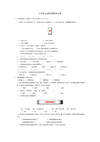 2020-2021第一学期七年级历史期中试卷