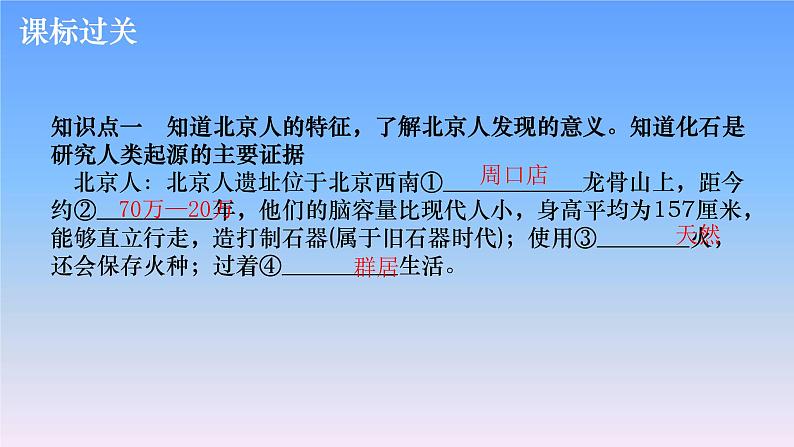 历史中考复习第一讲中国境内早期人类与文明的起源、早期国家与社会变革PPT课件第4页