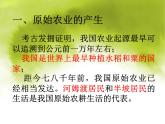 人教部编版七年级历史上册原始农耕生活课件