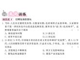 部编人教版八年级历史下册课件：第19课 社会生活的变迁（共19张PPT）