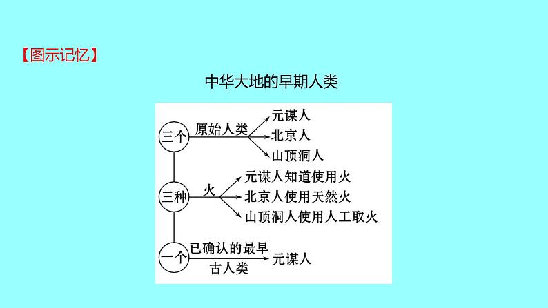 2022 云南 历史 中考复习 第一单元 史前时期：中国境内早期人类与文明的起源 课件06