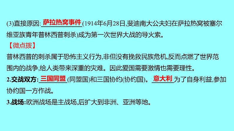 2022 云南 历史 中考复习 第二十五单元 第一次世界大战和战后初期的世界 课件第4页