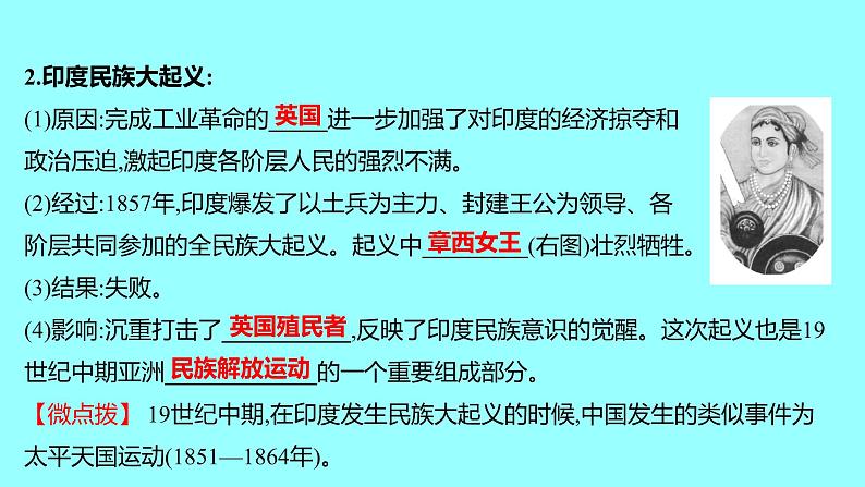 2022 云南 历史 中考复习 第二十三单元 殖民地人民的反抗与资本主义制度的扩展 课件05