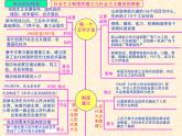 人教版中国历史八年级下册《新编基础训练》第二单元总结与复习训练题评讲课件PPT