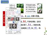 统编版七年级历史下册第9课宋代经济的发展 课件 素材