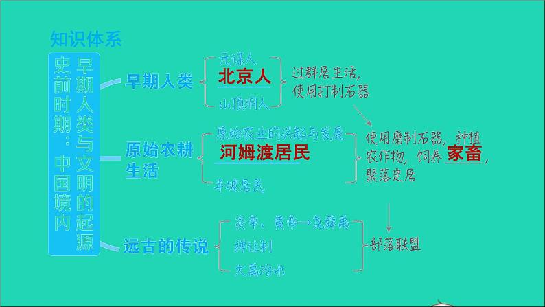 部编版七年级历史上册第一单元史前时期：中国境内早期人类与文明的起源复习训练习题课件第3页