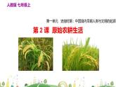 七年级上册历史课件第2课 原始农耕生活