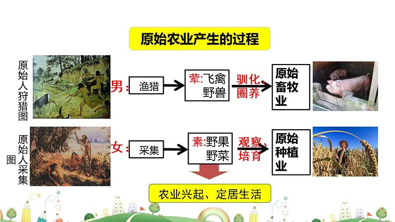 七年级上册历史课件第2课 原始农耕生活第6页