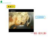 第1课鸦片战争课件PPT