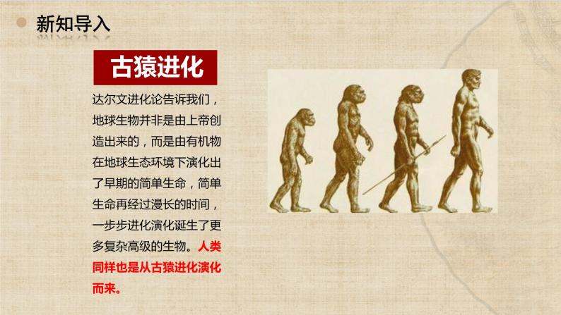 第1课《中国境内早期人类的代表——北京人》课件+教学设计05