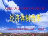 初中历史人教版（部编）八年级下册 第8课经济体制改革 2课件