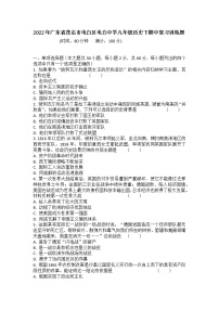 2022年广东省茂名市电白区电白中学九年级历史下期中复习训练题(word版含答案)