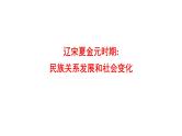 2022年广东省深圳市中考历史一轮复习课件：辽宋夏金元时期：民族关系发展和社会变化