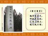 1.4 唐朝的中外文化交流 课件 2021-2022学年部编版七