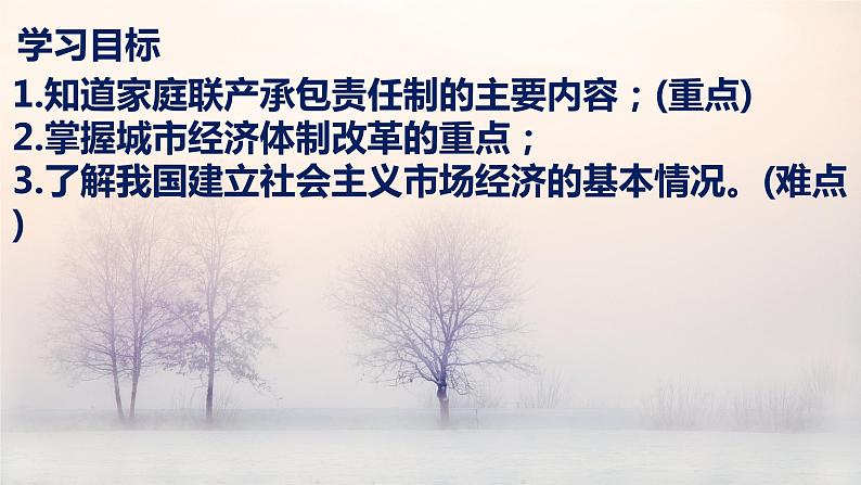 3.8 经济体制改革 课件 2021-2022学年部编版八年级历第3页