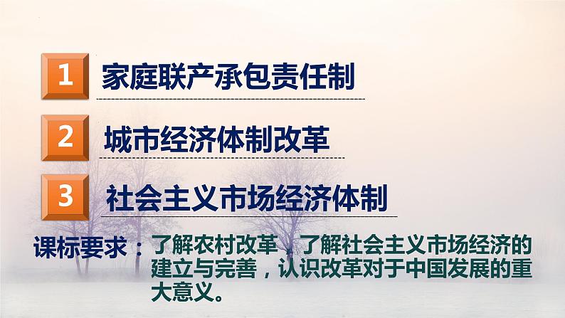 3.8 经济体制改革 课件 2021-2022学年部编版八年级历第4页