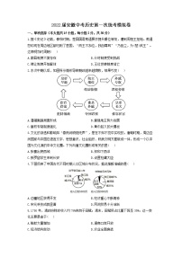 2022年安徽中考历史第一次统考模拟卷