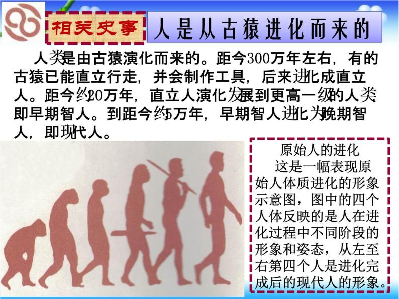 初中历史 人教课标版（部编） 七年级上册 《中国早期人类的代表——北京人》 课件08
