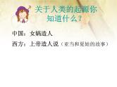 初中历史人教版（部编）七年级上册第1课 中国早期人类的代表——北京人部优课件