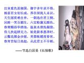 人教部编七下历史 5安史之乱与唐朝衰亡 课件