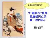 人教部编七下历史 5安史之乱与唐朝衰亡 课件