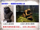 部编版七年级历史上册精品课件----第1课 中国早期人类的代表——北京人