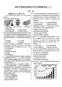 2020河南省郑州外国语三模历史试卷及答案