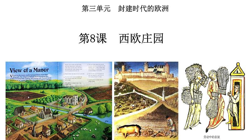 初中历史 人教课标版（部编） 九年级上册 第8课 西欧庄园 课件04
