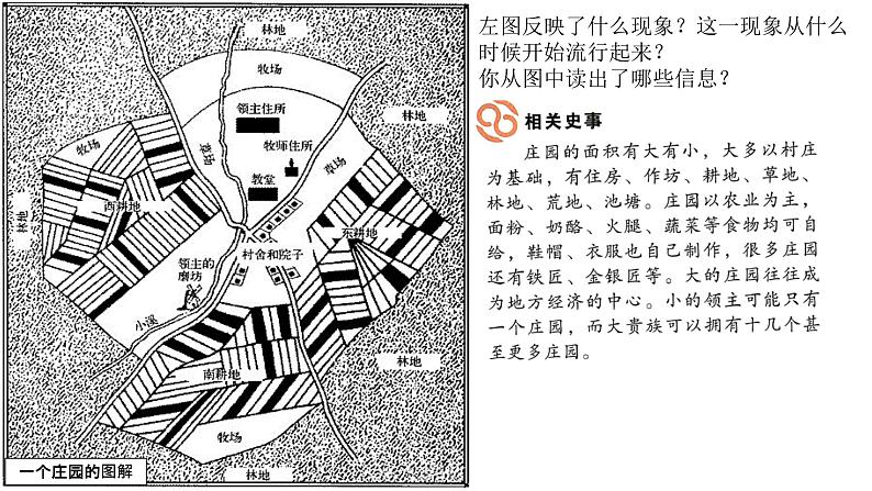 初中历史 人教课标版（部编） 九年级上册 第8课 西欧庄园 课件05