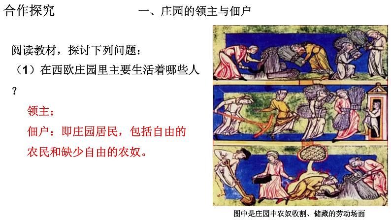 初中历史 人教课标版（部编） 九年级上册 第8课 西欧庄园 课件06